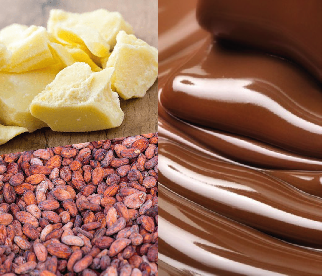 Description de l'image 1