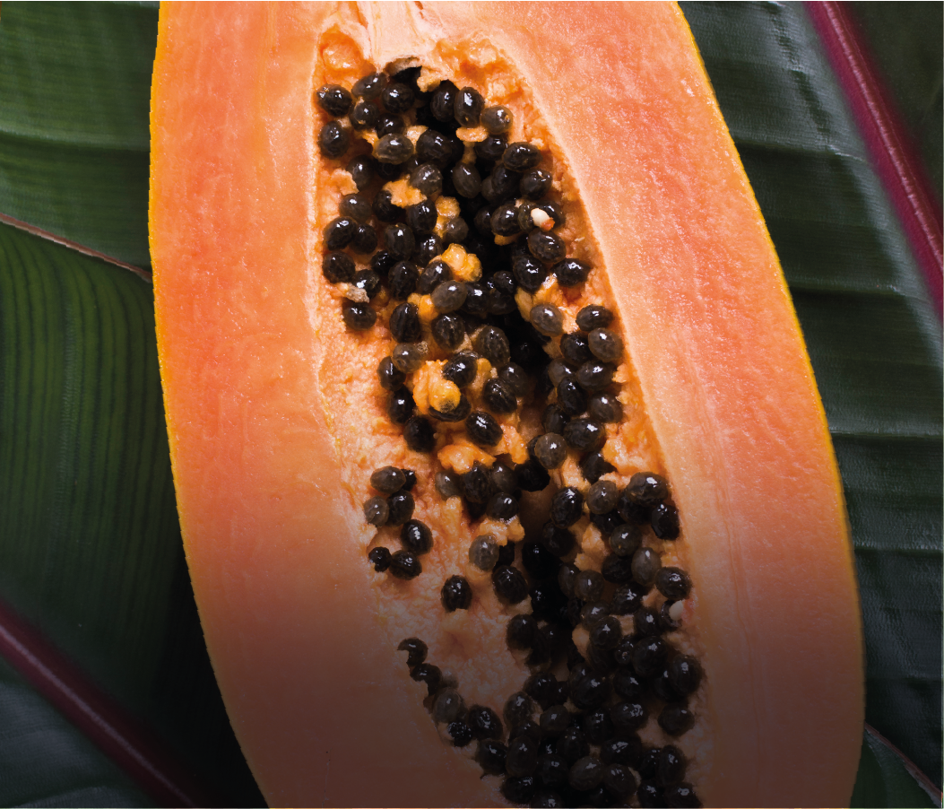 Description de l'image 8