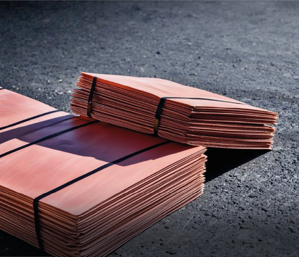 Description de l'image 5