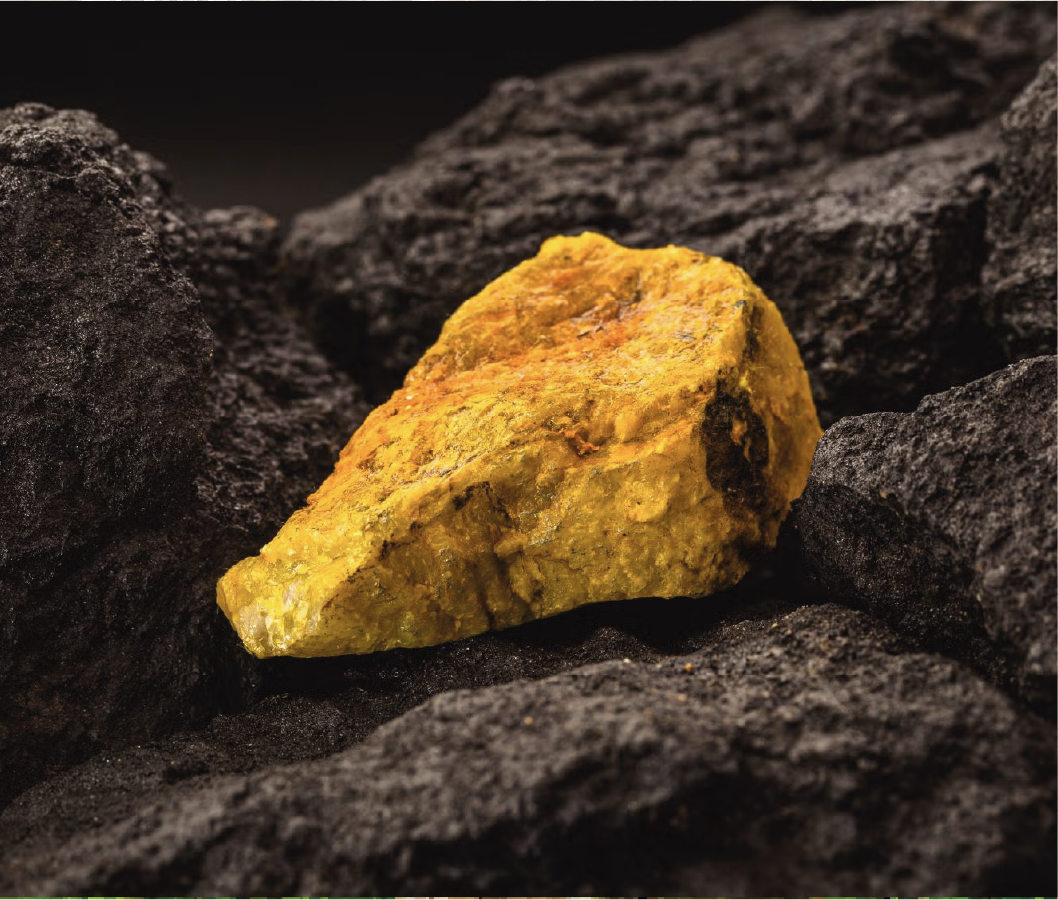 Description de l'image 8